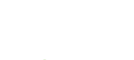 Slots of Fortune Casino