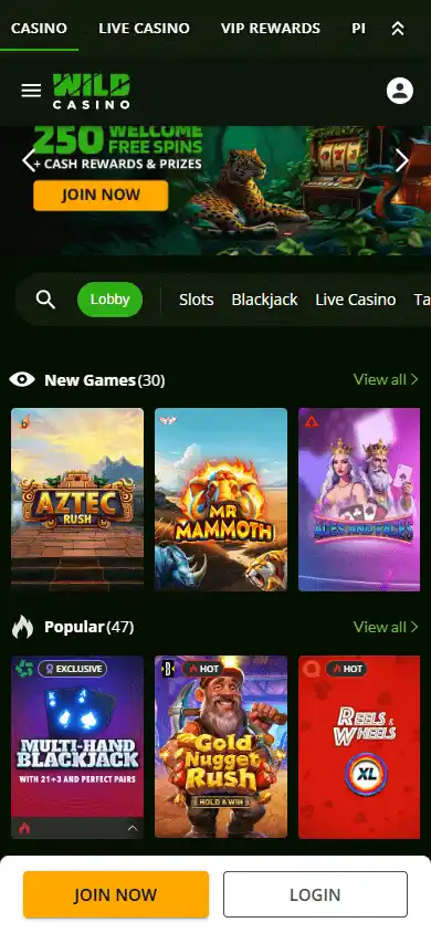 Wild Casino