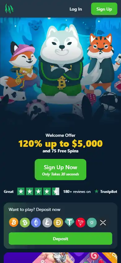 Wild.io Casino