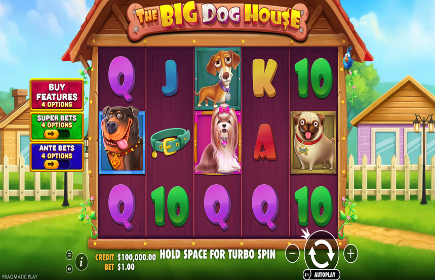 The Big Dog House