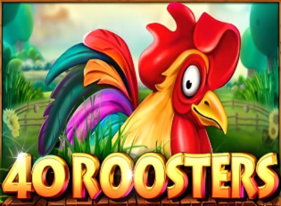 40 Roosters