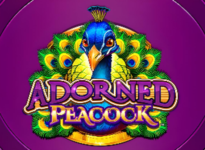 Adorned Peacock