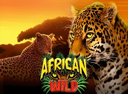 African Wild