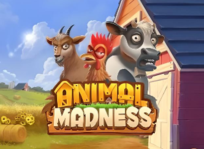 Animal Madness