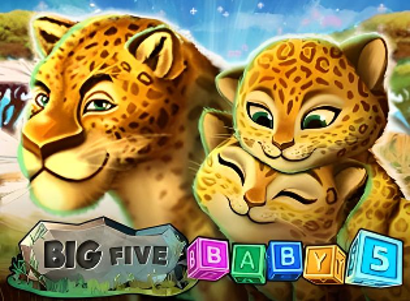 Big 5 Baby 5