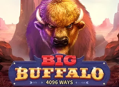Big Buffalo