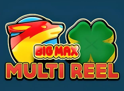 Big Max Multi Reel