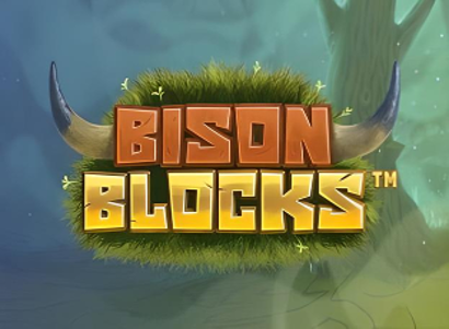 Bison Blocks