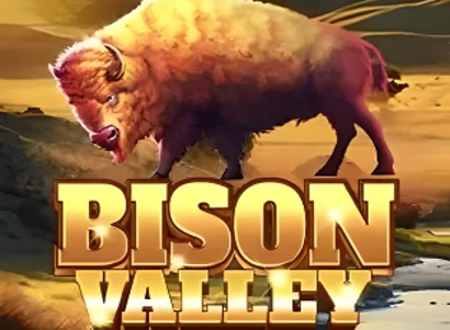 Bison Valley