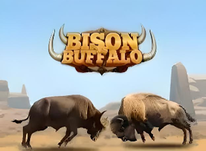 Bison vs Buffalo