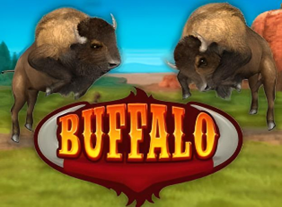 Buffalo Bingo