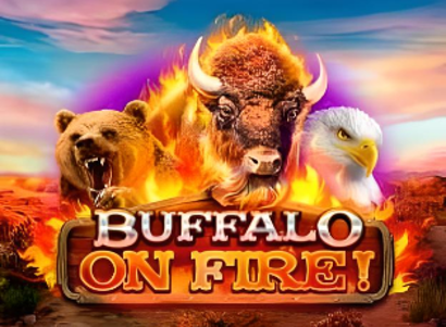 Buffalo on Fire