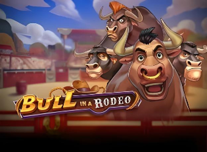 Bull in a Rodeo