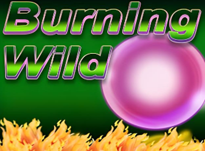 Burning Wild