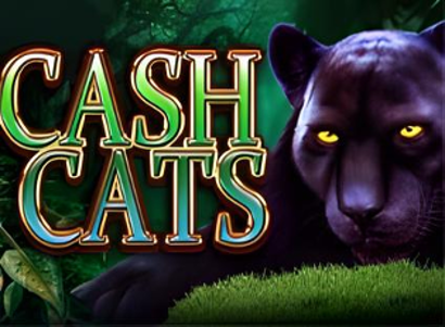 Cash Cats