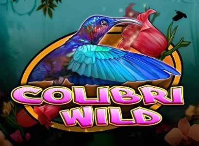Colibri Wild