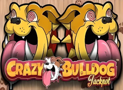 Crazy Bulldog