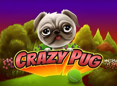 Crazy Pug