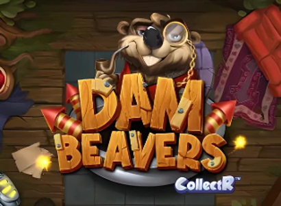 Dam Beavers