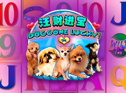 Doggone Lucky