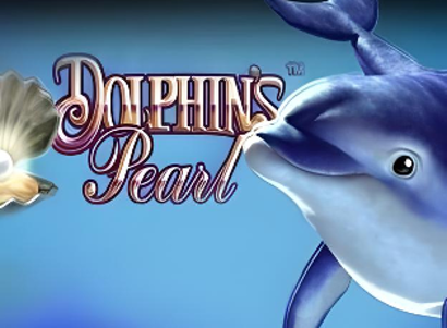 Dolphins Pearl