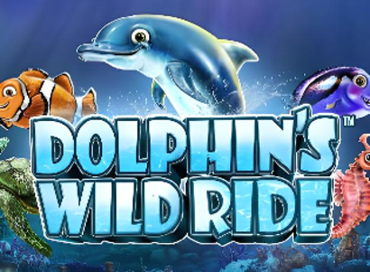 Dolphins WIld Ride