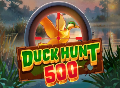 Duck Hunt 500