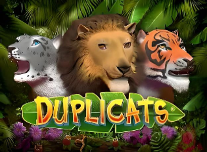 Duplicats