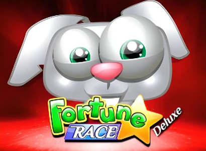 Fortune Race