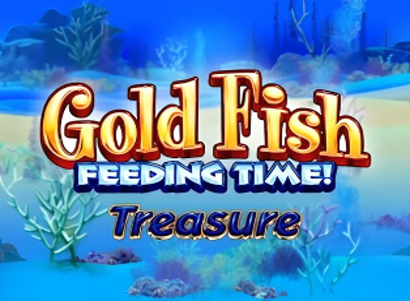 Gold Fish Feeding Time