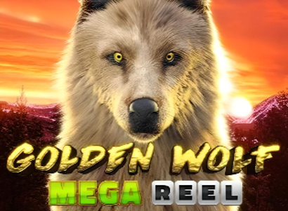 Golden Wolf Mega Reel