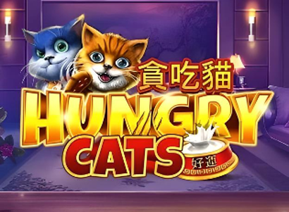 Hungry Cats