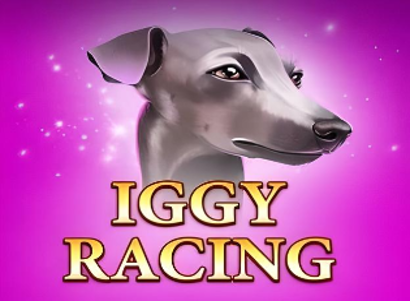 Iggy Racing