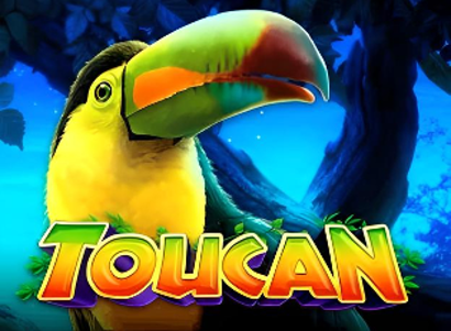 Intervision Gaming Toucan