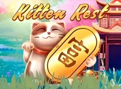 Kitten Rest