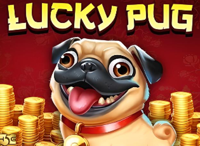 Lucky Pug
