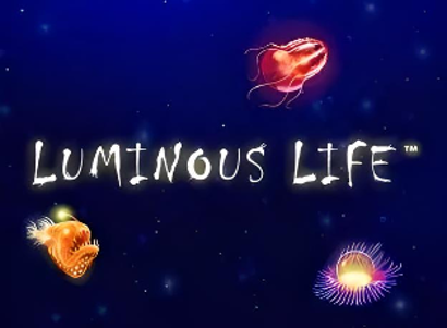 Luminous Life