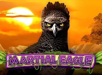 Martial Eagle