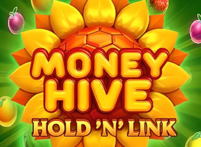Money Hive Hold n Link
