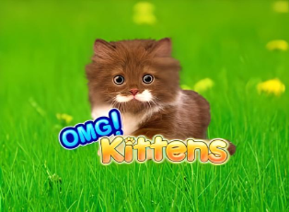 OMG Kittens