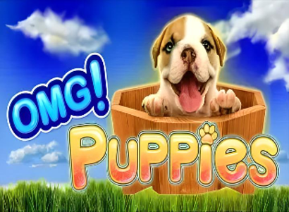 OMG Puppies