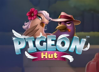 Pigeon Hut