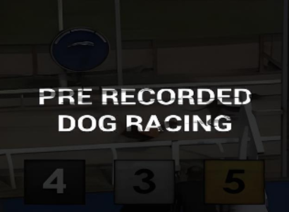 Pre Recorded Dog Racing