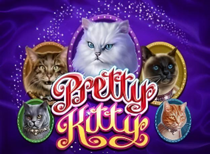 Pretty Kitty