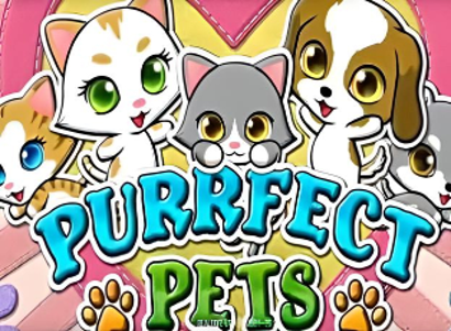 Purrfect Pets