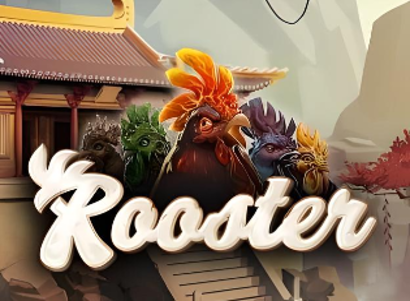 Rooster