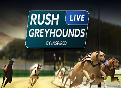 Rush Greyhounds Live