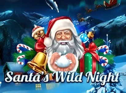 Santas Wild Night