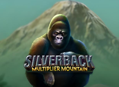 Silverback Multiplier Mountain