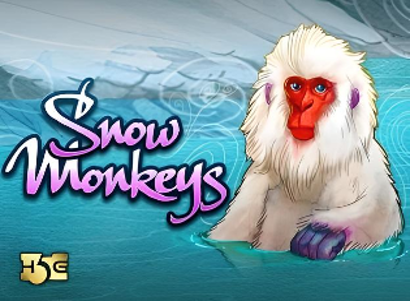 Snow Monkeys